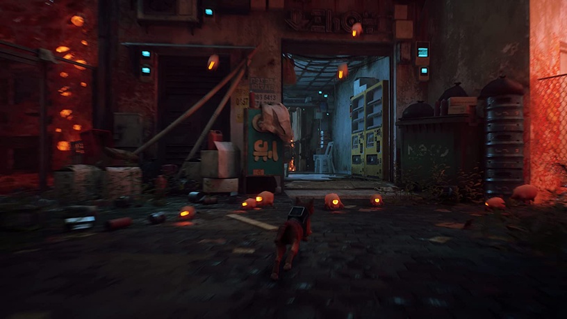 PlayStation 4 (PS4) mäng Annapurna Interactive Stray