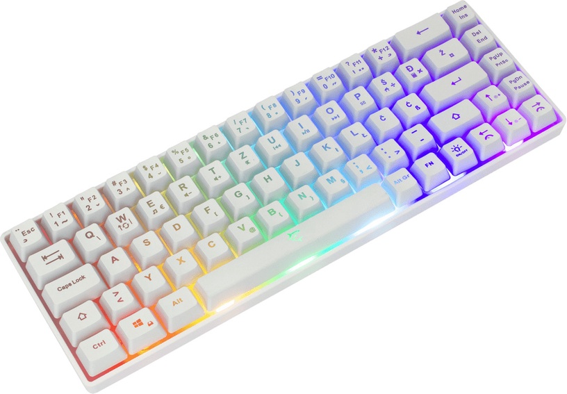 Klaviatūra White Shark RONIN White, Angļu (US), balta