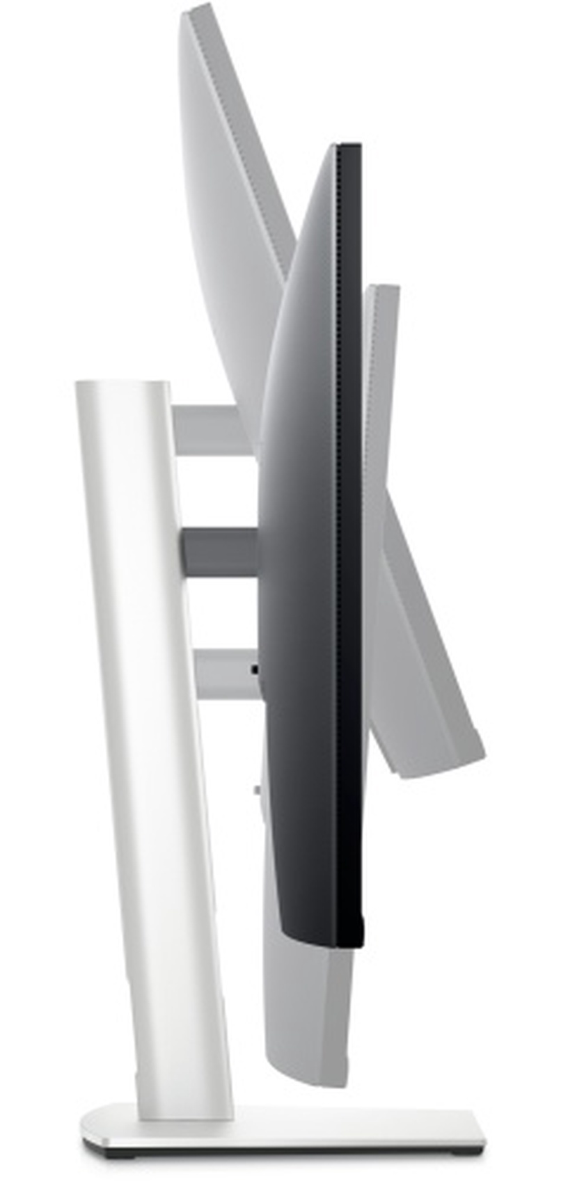 Monitor Dell P3223QE, 31.5", 8 ms