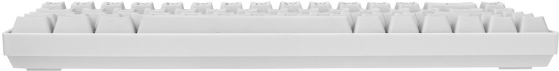 Klaviatūra White Shark RONIN White, Angļu (US), balta