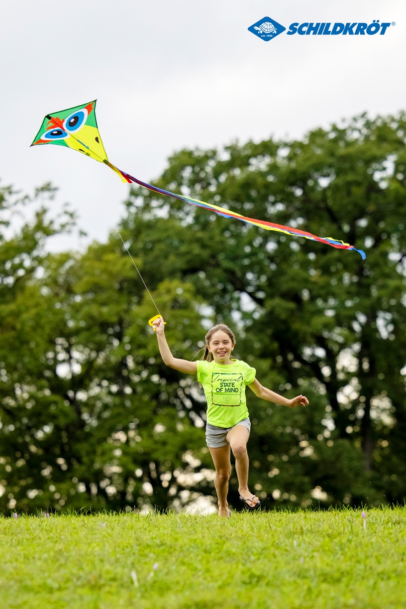 Воздушный змей Schildkrot Classic Kite CrazyBird, 70 см, многоцветный