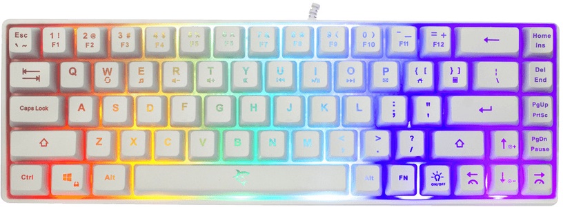 Klaviatūra White Shark RONIN White, Angļu (US), balta