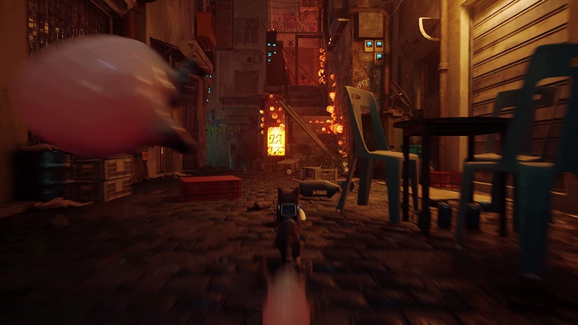 PlayStation 4 (PS4) mäng Annapurna Interactive Stray