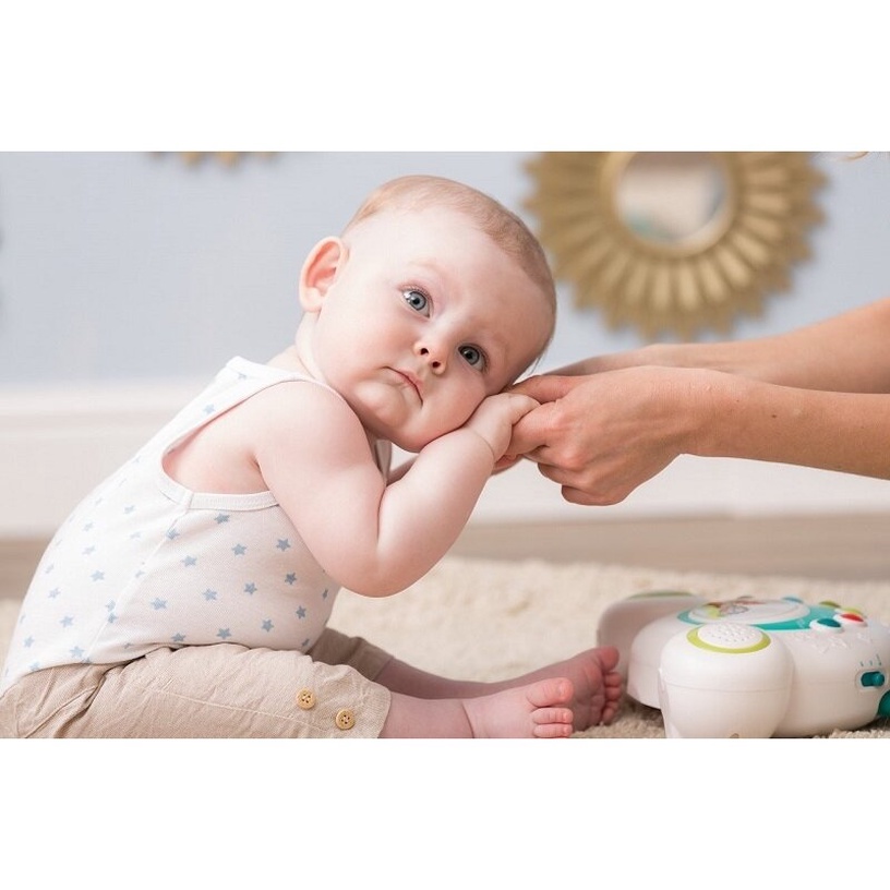 Карусель для кровати Tiny Love Soothe N Grow Meadow Days