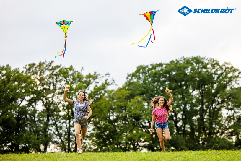 Воздушный змей Schildkrot Classic Kite CrazyBird, 70 см, многоцветный