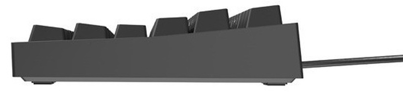 Клавиатура Genesis Thor 404 Gateron Yellow Pro, Английский (US), черный
