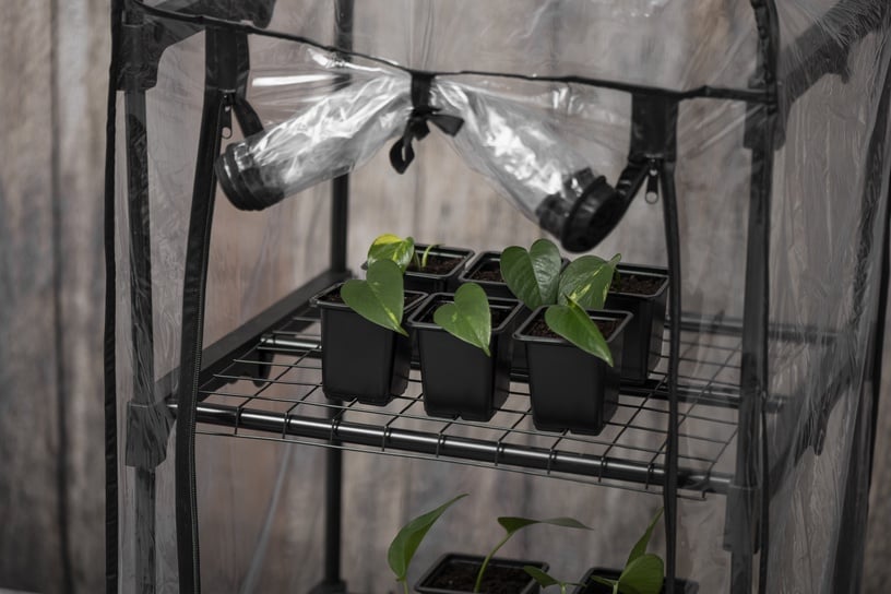 Mini siltumnīca 4Living Greenhouse, 45 cm x 50 cm x 108 cm