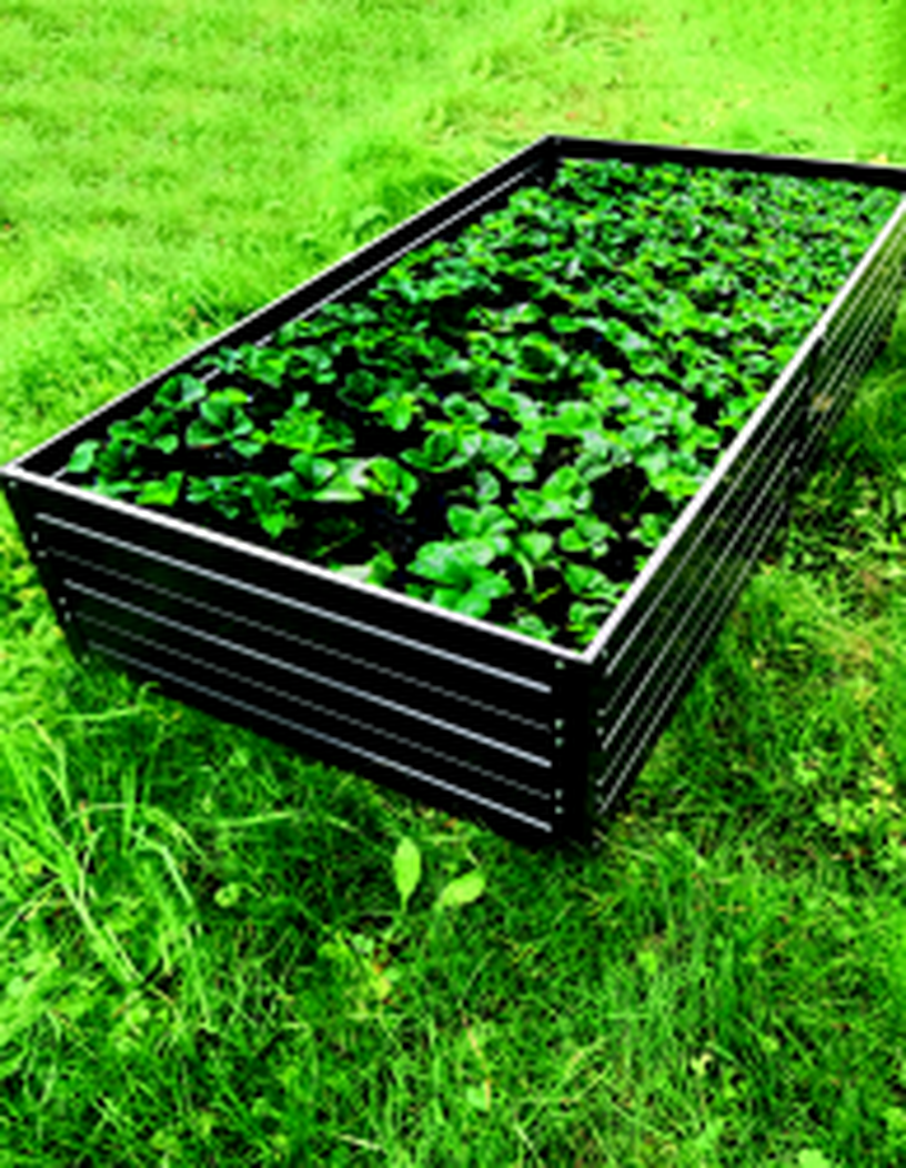 Paceļama dobe Klasika Garden, 150 cm x 75 cm x 30 cm