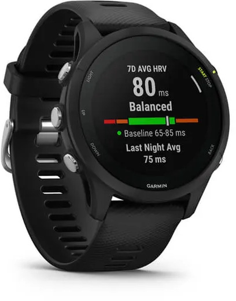 Умные часы Garmin Forerunner® 255 Music GPS 46mm, черный