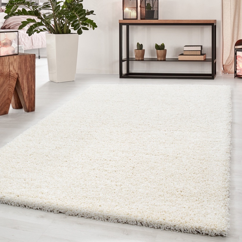 Paklājs iekštelpu Dream Shaggy 4000, 230 cm x 160 cm, krēmkrāsa