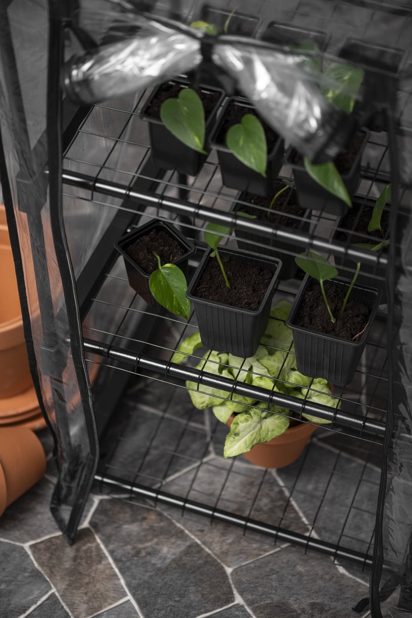 Mini siltumnīca 4Living Greenhouse, 45 cm x 50 cm x 108 cm