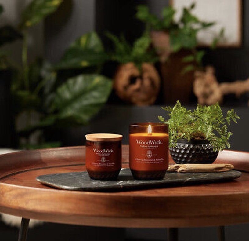 Свеча, ароматическая WoodWick Renew Medium Cherry Blossom & Vanilla, 20 - 40 час, 184 г