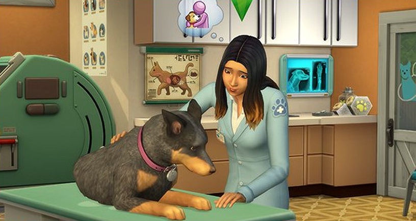 PC mäng Electronic Arts The Sims 4 Cats & Dogs