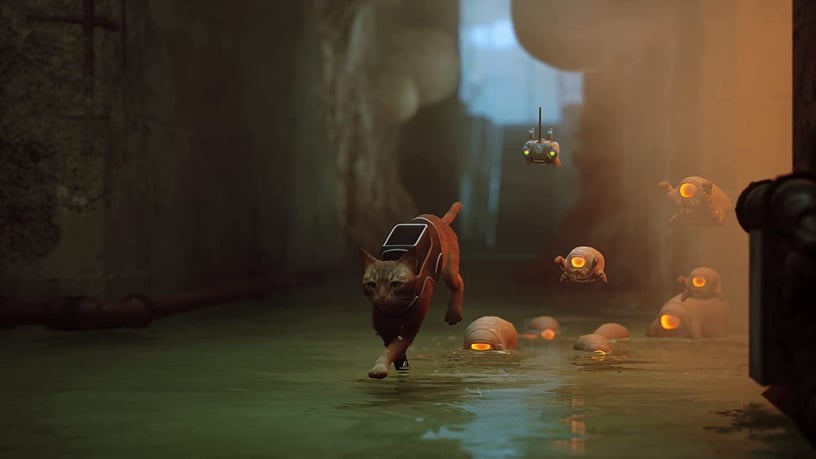 PlayStation 4 (PS4) mäng Annapurna Interactive Stray