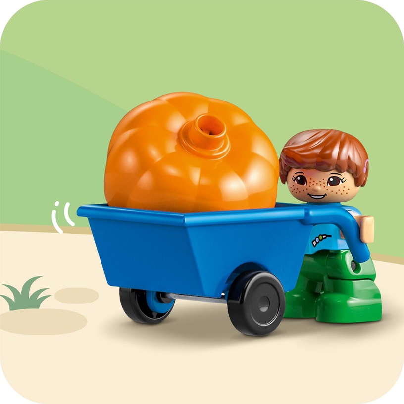 Конструктор LEGO® DUPLO® 3in1 Tree House 10993, 126 шт.