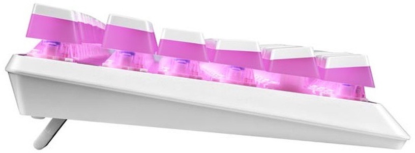 Клавиатура Modecom RGB Pudding Edition White Outemu Blue, EN, белый