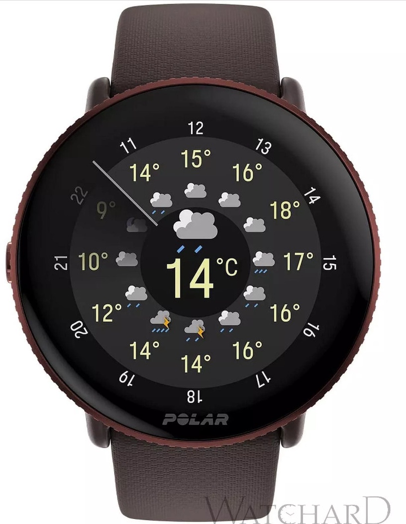Nutikell Polar Ignite 3 IGNITE 3 BRN/COP S-L, pruun