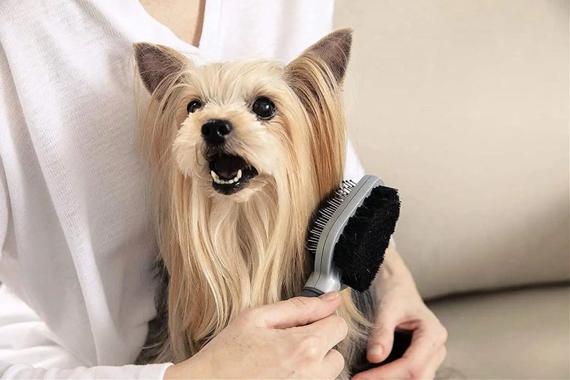 Щетка для собак и кошек Furminator Grooming