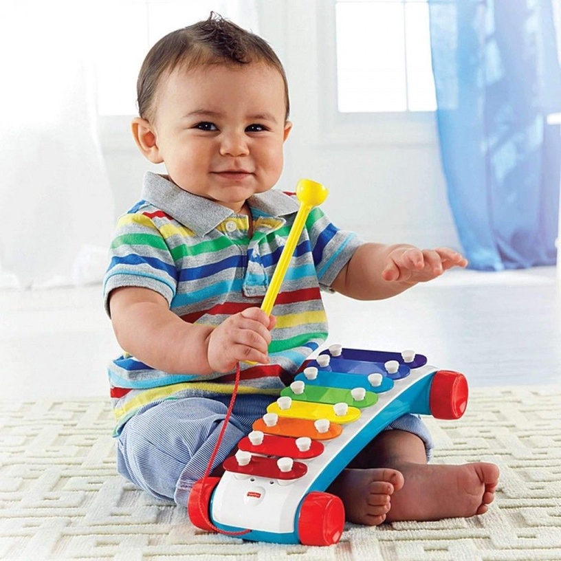 Детский ксилофон Mattel Fisher Price CMY09
