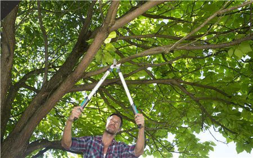 Aiakäärid kuivadele okstele/rohelistele okstele Gardena EasyCut 680 A, 68 cm