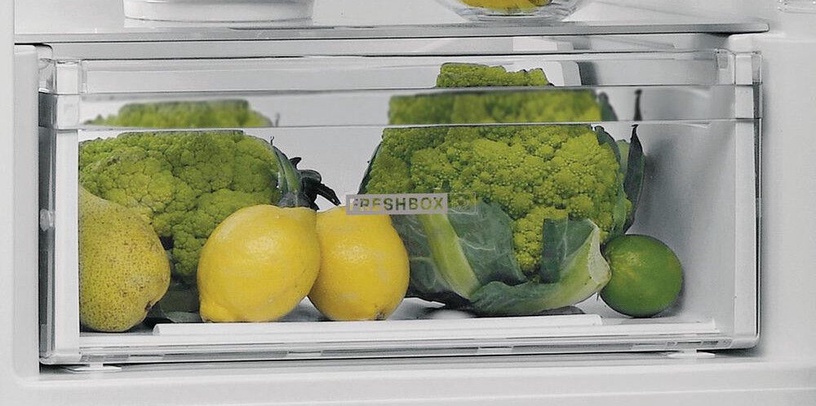 Ledusskapis saldētava apakšā Whirlpool W5 821E OX 2