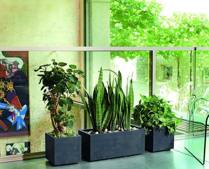 Lillepott Deroma 9DG24SZA, polüpropüleen (pp)/polümeer, 59 cm x 25 cm, antratsiit