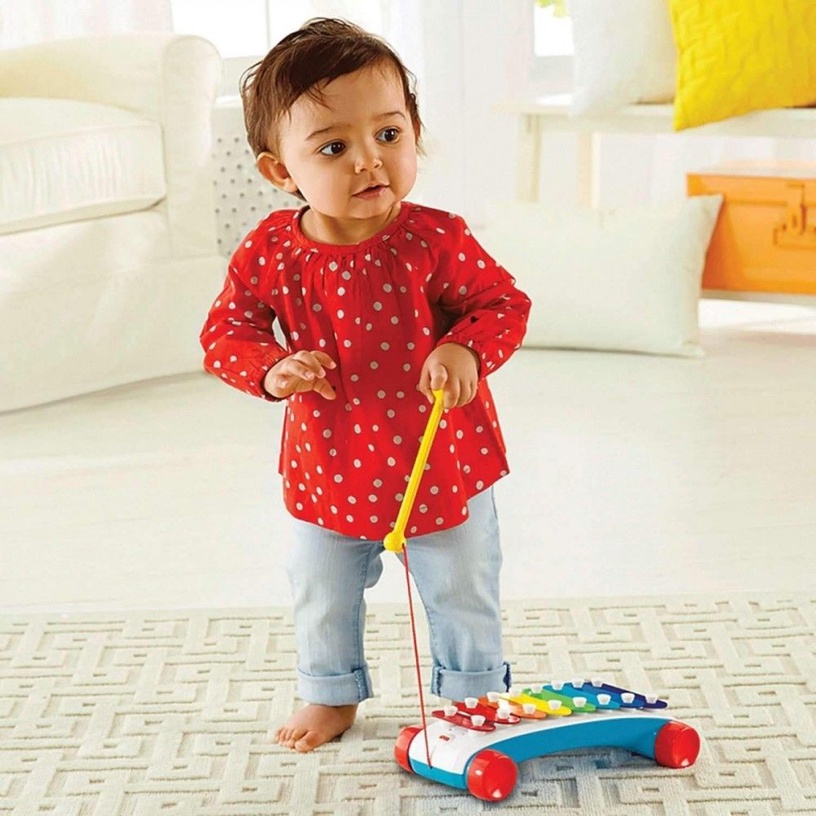 Детский ксилофон Mattel Fisher Price CMY09
