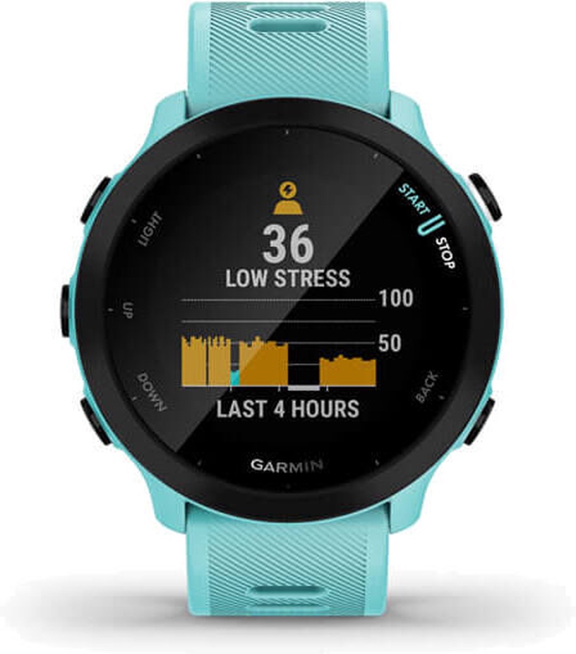 Nutikell Garmin Forerunner 55 Monterra, sinine