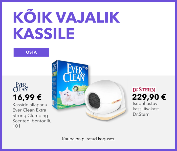 Kõik vajalik kassile