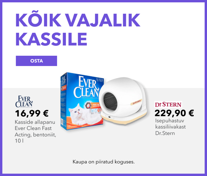 Kõik vajalik kassile
