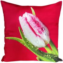 Pagalvės užvalkalas Spring JCL-631, raudona/žalia, 40 cm x 40 cm