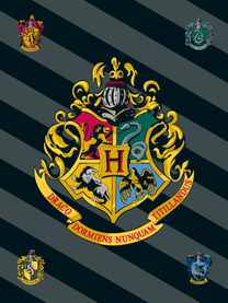 Pledas Harry Potter HP067, juodas/geltonas/pilkas, 100 cm x 150 cm