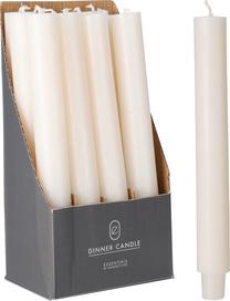 Žvakė, kūginė Oliver CC5070810, 8 h, Balta