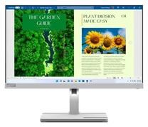 Monitorius Lenovo L24m-40, 23.8", 4 ms