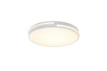 Šviestuvas lubų Reality Tacoma R62241131, LED, 2700 - 6500 °K, 1 x 24 W