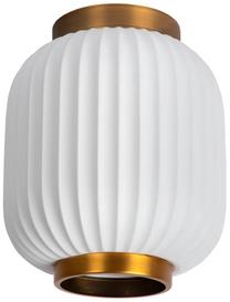 Šviestuvas lubų Lucide Gosse 13135/01/31, E27, 1 x 40 W