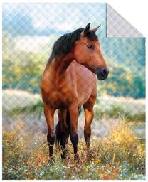 Lovatiesė NHLA-10, mėlyna/ruda/smėlio, 170 cm x 210 cm