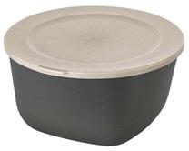 Indelis maistui Koziol Concept, 2 l