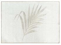 Servetėlė, rinkinys stačiakampė Ines, smėlio, 32 x 45 cm, 4 vnt.