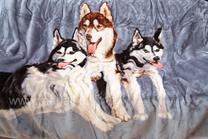 Pledas KW-45, pilkas, 160 cm x 210 cm