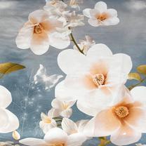 Pagalvės užvalkalas Rustilė A Dreamer 1121, pilka/smėlio, 70 cm x 70 cm