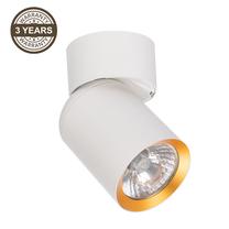 Šviestuvas lubų Domoletti Tunis TUNIS