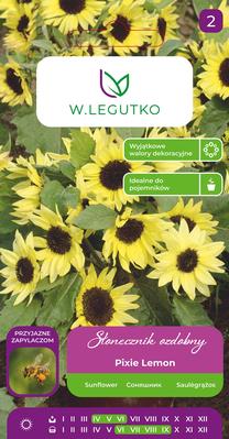 Sėklos saulėgrąža PIXIE LEMON, 2 g