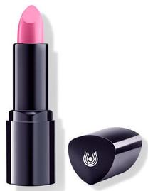 Lūpų dažai Dr.Hauschka Natural, 4 g, 01 rosebay