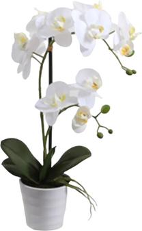 Искусственные цветы в вазоне, oрхидея Home4you In Garden Orchid, белый цв./зеленый цв., 51 см