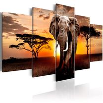 Reprodukcija Artgeist Elephant Migration N7049, 100 cm x 50 cm