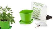 Indelis prieskoninėms žolelėms Tescoma Sense Arugula Kit 899084, plastikinis, 11 cm x 11 cm, Ø 11 cm, žalia sp.