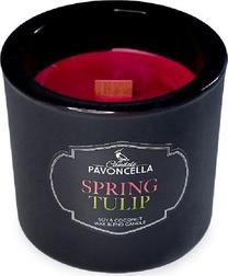 Žvakė, aromatinė Pavoncella Spring Tulip, 50 h, 170 g, juoda sp.