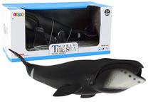 Žaislinė figūrėlė, banginis Lean Toys The Sea World Greenland, 23 cm, juoda sp.