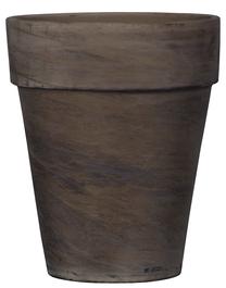 Gėlių vazonas Domoletti Basalt T-143-025-17, keramika, Ø 17 cm, tamsiai ruda sp.
